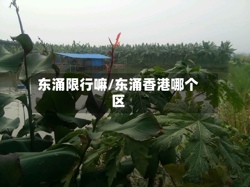 东涌限行嘛/东涌香港哪个区-第2张图片