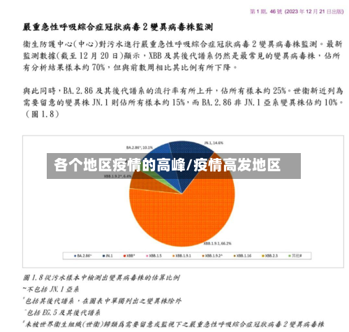 各个地区疫情的高峰/疫情高发地区-第3张图片