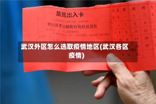 武汉外区怎么选取疫情地区(武汉各区疫情)-第1张图片
