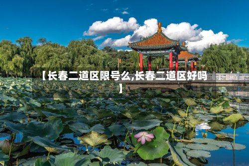 【长春二道区限号么,长春二道区好吗】-第1张图片