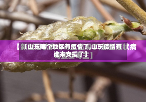 【山东哪个地区有疫情了,山东疫情有谁来支援了】-第2张图片