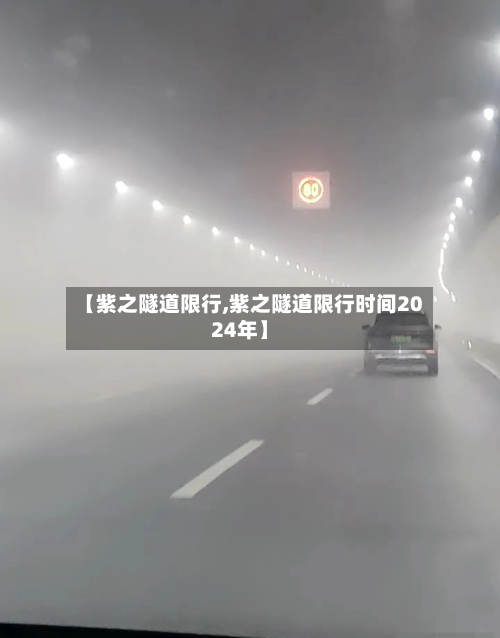 【紫之隧道限行,紫之隧道限行时间2024年】-第3张图片