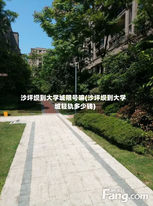 沙坪坝到大学城限号嘛(沙坪坝到大学城轻轨多少钱)-第3张图片