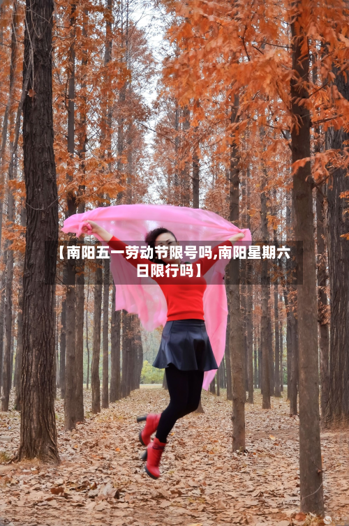 【南阳五一劳动节限号吗,南阳星期六日限行吗】-第1张图片