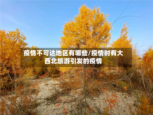 疫情不可达地区有哪些/疫情时有大西北旅游引发的疫情