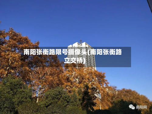 南阳张衡路限号摄像头(南阳张衡路立交桥)