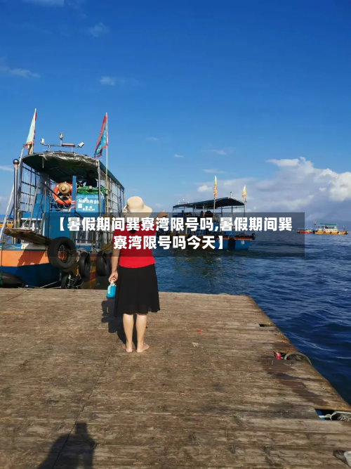 【暑假期间巽寮湾限号吗,暑假期间巽寮湾限号吗今天】-第1张图片