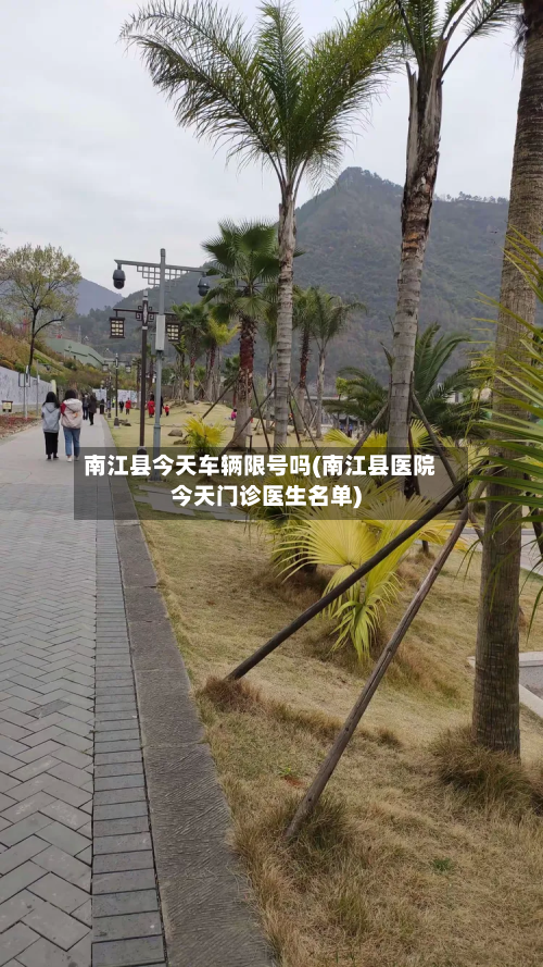 南江县今天车辆限号吗(南江县医院今天门诊医生名单)-第1张图片