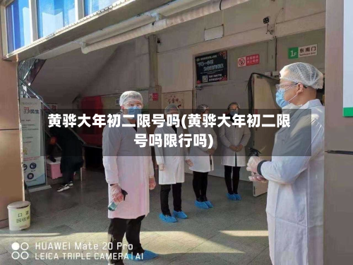 黄骅大年初二限号吗(黄骅大年初二限号吗限行吗)-第2张图片