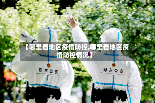【哪里看地区疫情防控,哪里看地区疫情防控情况】-第2张图片