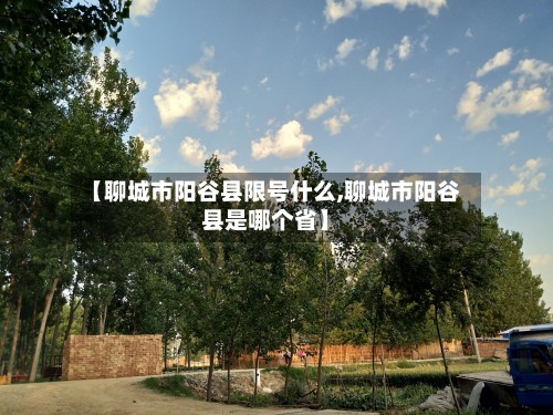 【聊城市阳谷县限号什么,聊城市阳谷县是哪个省】-第3张图片