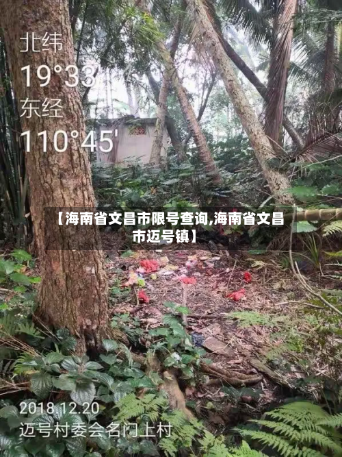 【海南省文昌市限号查询,海南省文昌市迈号镇】-第1张图片