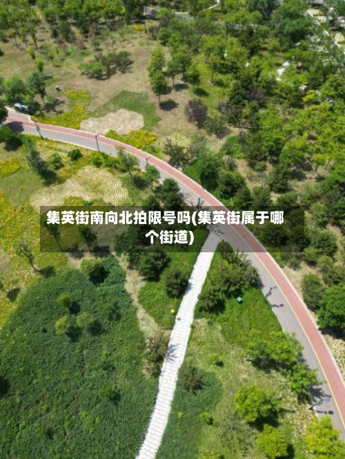 集英街南向北拍限号吗(集英街属于哪个街道)-第1张图片