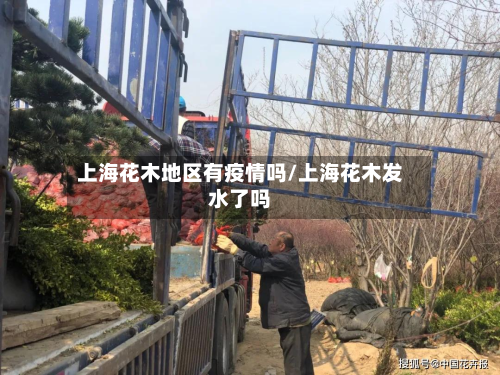 上海花木地区有疫情吗/上海花木发水了吗-第3张图片