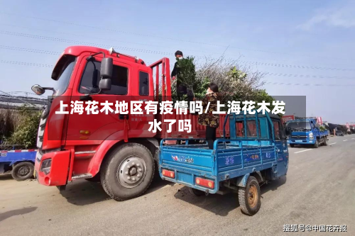 上海花木地区有疫情吗/上海花木发水了吗-第1张图片