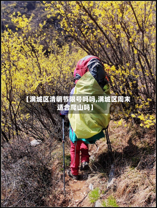 【满城区清明节限号吗吗,满城区周末适合爬山吗】-第1张图片