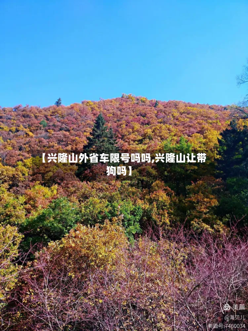 【兴隆山外省车限号吗吗,兴隆山让带狗吗】-第3张图片