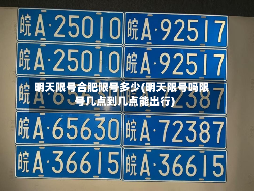 明天限号合肥限号多少(明天限号吗限号几点到几点能出行)-第2张图片