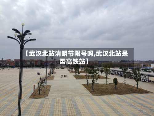 【武汉北站清明节限号吗,武汉北站是否高铁站】-第2张图片