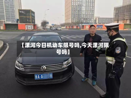 【漯河今日机动车限号吗,今天漯河限号吗】-第2张图片