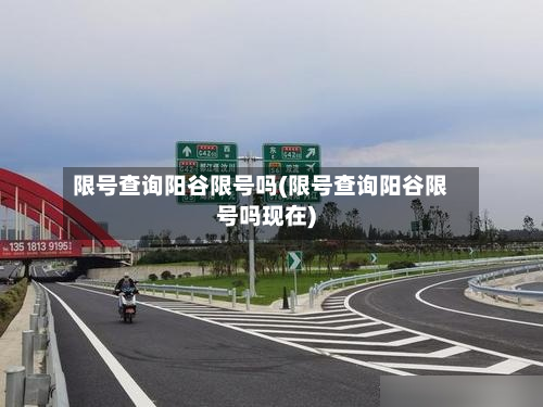 限号查询阳谷限号吗(限号查询阳谷限号吗现在)-第1张图片