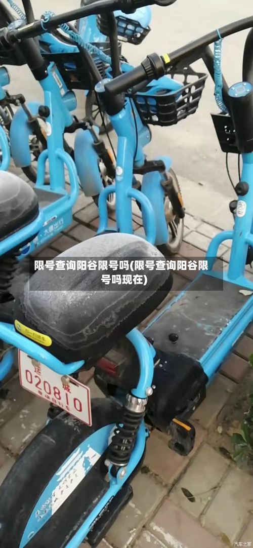 限号查询阳谷限号吗(限号查询阳谷限号吗现在)-第3张图片