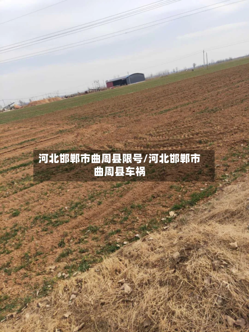 河北邯郸市曲周县限号/河北邯郸市曲周县车祸-第1张图片