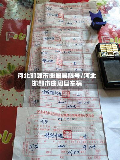 河北邯郸市曲周县限号/河北邯郸市曲周县车祸-第2张图片