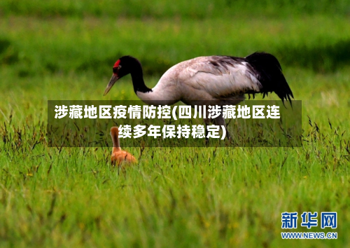涉藏地区疫情防控(四川涉藏地区连续多年保持稳定)