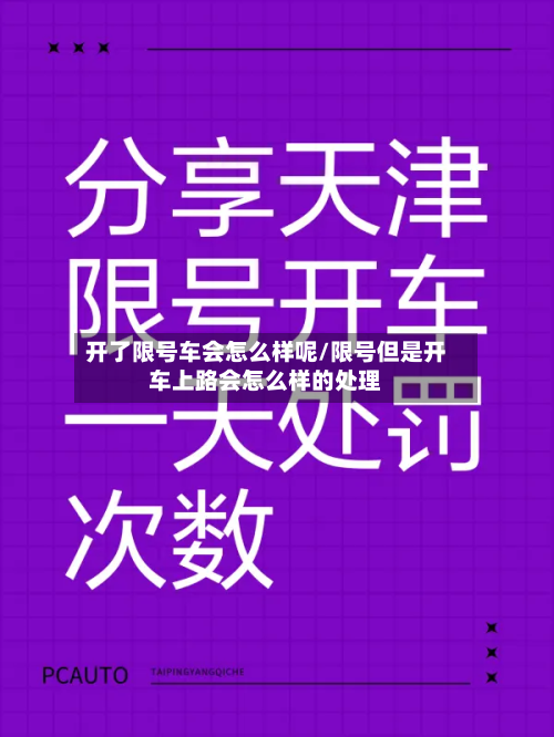 开了限号车会怎么样呢/限号但是开车上路会怎么样的处理-第3张图片