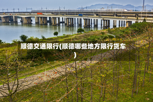 顺德交通限行(顺德哪些地方限行货车)-第1张图片