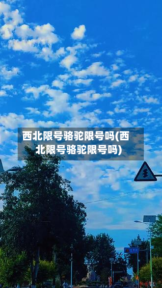 西北限号骆驼限号吗(西北限号骆驼限号吗)-第1张图片