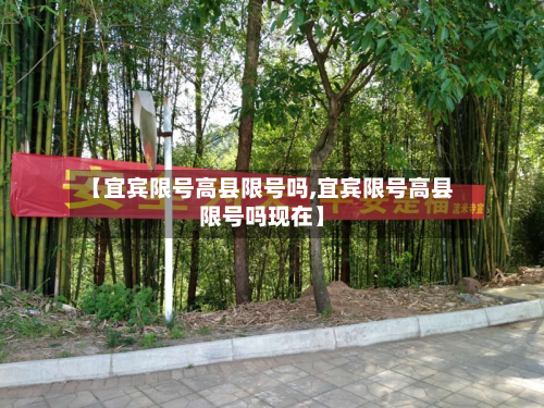 【宜宾限号高县限号吗,宜宾限号高县限号吗现在】-第1张图片