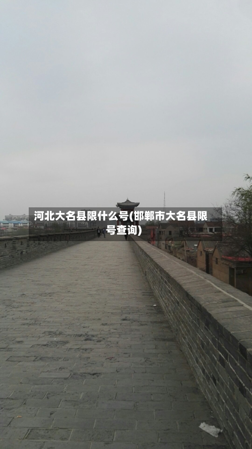 河北大名县限什么号(邯郸市大名县限号查询)-第2张图片