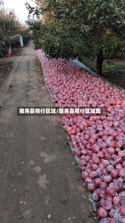 隆尧县限行区域/隆尧县限行区域图