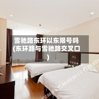 雪驰路东环以东限号吗(东环路与雪驰路交叉口)-第2张图片
