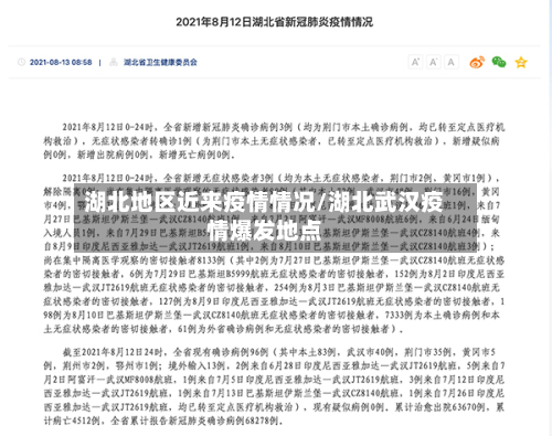 湖北地区近来疫情情况/湖北武汉疫情爆发地点