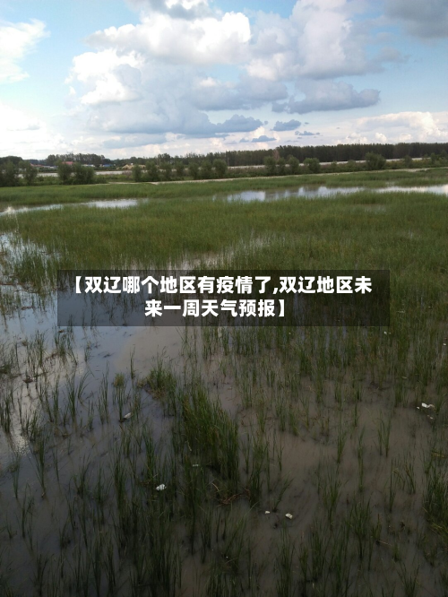 【双辽哪个地区有疫情了,双辽地区未来一周天气预报】-第1张图片