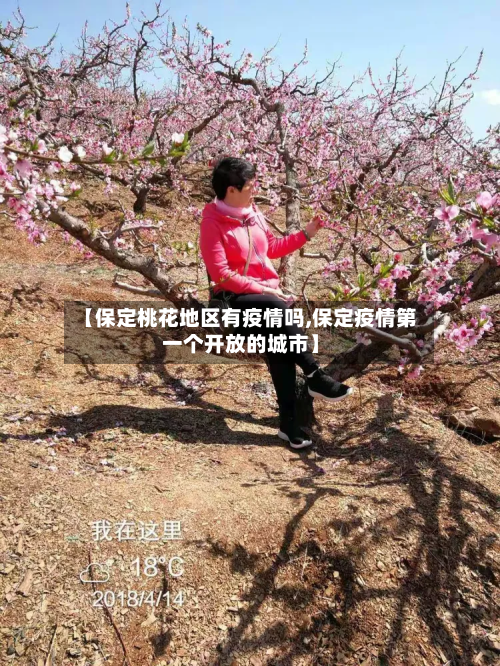【保定桃花地区有疫情吗,保定疫情第一个开放的城市】-第1张图片