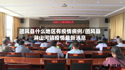 团风县什么地区有疫情病例/团风县淋山河镇疫情最新消息-第2张图片