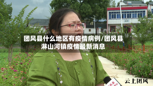 团风县什么地区有疫情病例/团风县淋山河镇疫情最新消息-第3张图片