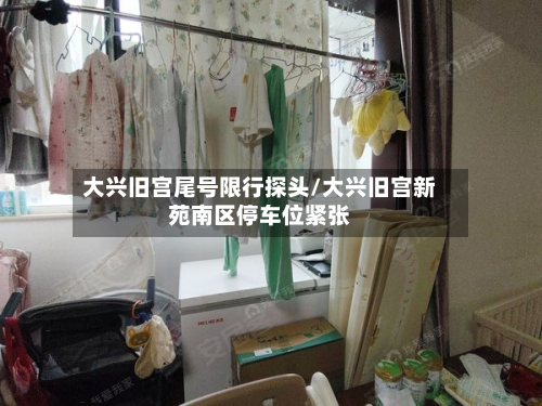 大兴旧宫尾号限行探头/大兴旧宫新苑南区停车位紧张-第1张图片