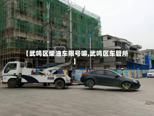 【武鸣区柴油车限号嘛,武鸣区车管所】-第1张图片