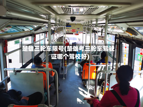 楚雄三轮车限号(楚雄考三轮车驾驶证哪个驾校好)-第1张图片