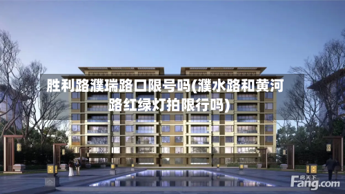 胜利路濮瑞路口限号吗(濮水路和黄河路红绿灯拍限行吗)-第3张图片