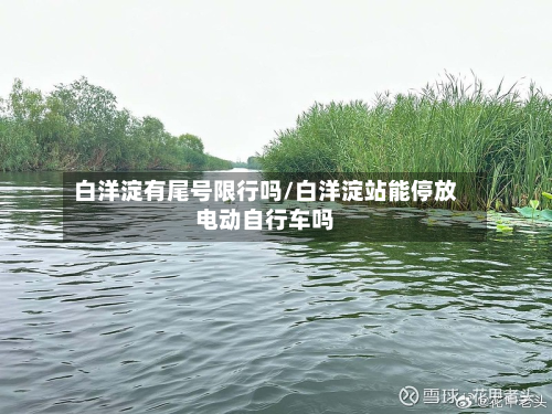 白洋淀有尾号限行吗/白洋淀站能停放电动自行车吗-第3张图片