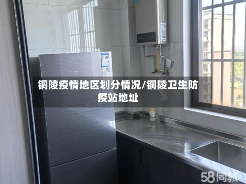 铜陵疫情地区划分情况/铜陵卫生防疫站地址