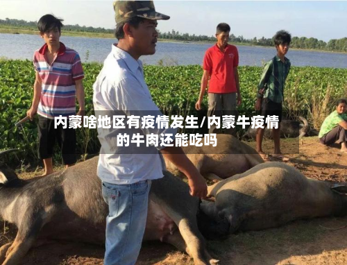 内蒙啥地区有疫情发生/内蒙牛疫情的牛肉还能吃吗-第1张图片