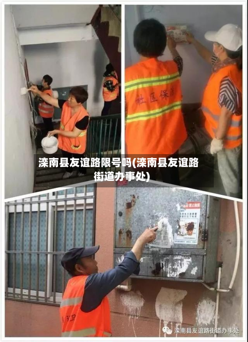 滦南县友谊路限号吗(滦南县友谊路街道办事处)-第2张图片