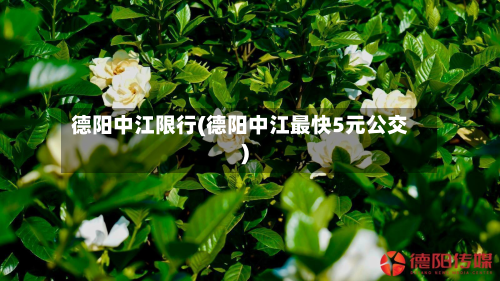 德阳中江限行(德阳中江最快5元公交)-第3张图片